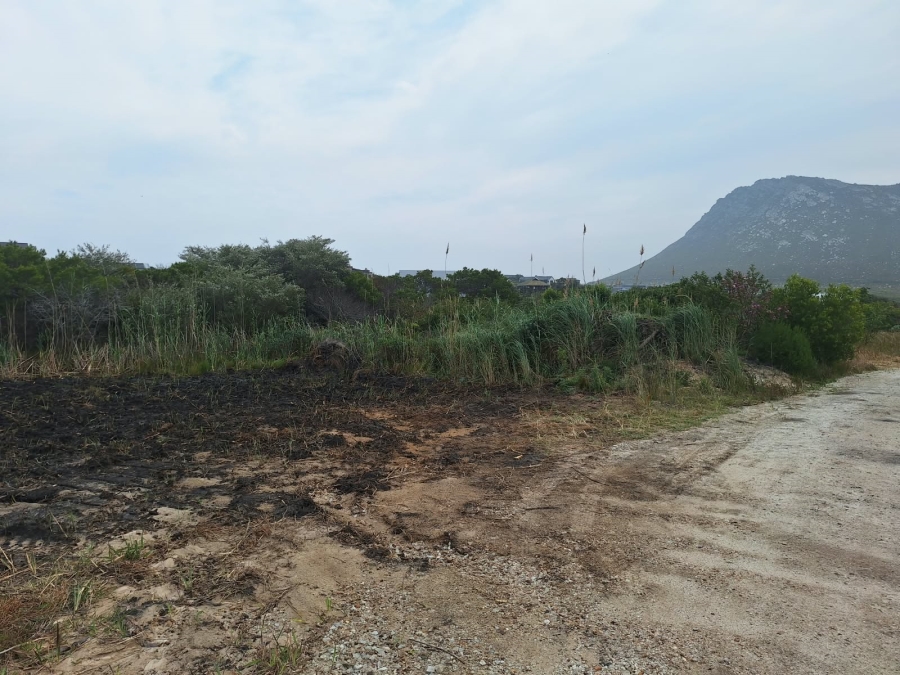 0 Bedroom Property for Sale in Pringle Bay Western Cape